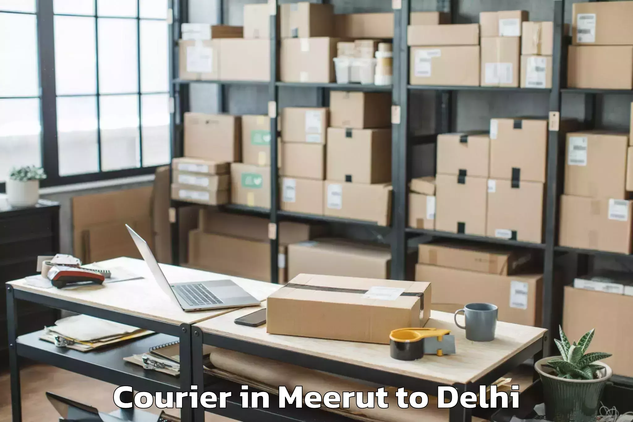 Hassle-Free Meerut to Chanakya Puri Courier